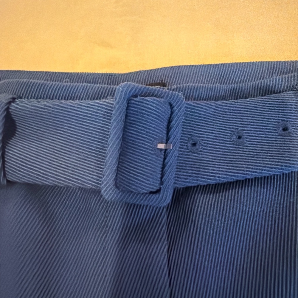 Ann Taylor Petite 8P Blue Belted Wide Leg Cropped Pants Culottes Workwear - Picture 4 of 6